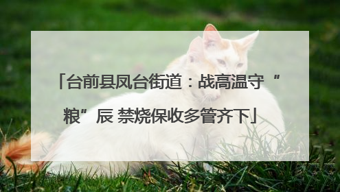 台前县凤台街道：战高温守“粮”辰 禁烧保收多管齐下