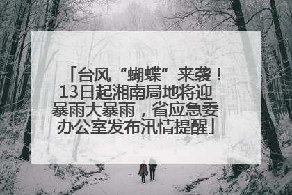 台风“蝴蝶”来袭！13日起湘南局地将迎暴雨大暴雨，省应急委办公室发布汛情提醒