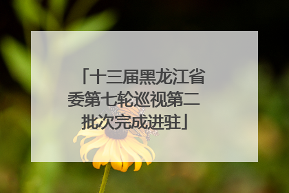 十三届黑龙江省委第七轮巡视第二批次完成进驻