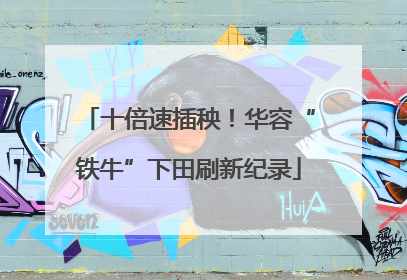 十倍速插秧！华容“铁牛”下田刷新纪录
