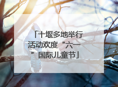 十堰多地举行活动欢度“六一”国际儿童节