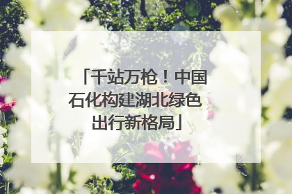 千站万枪！中国石化构建湖北绿色出行新格局