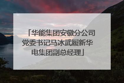 华能集团安徽分公司党委书记马冰武履新华电集团副总经理