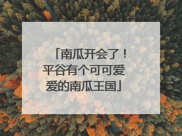 南瓜开会了！平谷有个可可爱爱的南瓜王国