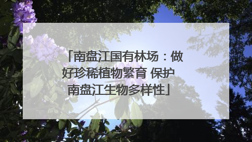 南盘江国有林场：做好珍稀植物繁育 保护南盘江生物多样性