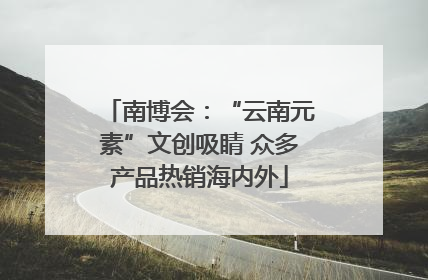 南博会：“云南元素”文创吸睛 众多产品热销海内外