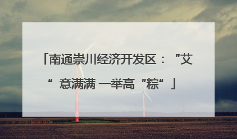 南通崇川经济开发区：“艾”意满满 一举高“粽”