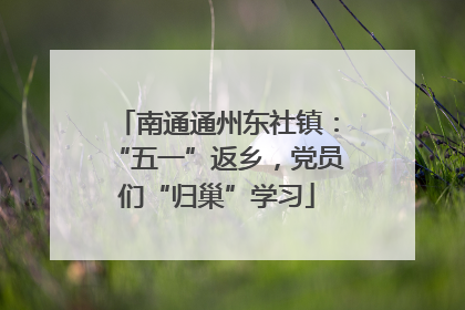 南通通州东社镇：“五一”返乡，党员们“归巢”学习