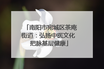 南阳市宛城区茶庵街道：弘扬中医文化 把脉基层健康