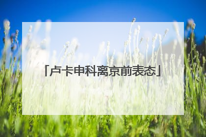 卢卡申科离京前表态
