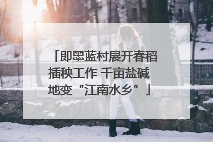 即墨蓝村展开春稻插秧工作 千亩盐碱地变“江南水乡”