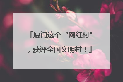 厦门这个“网红村”，获评全国文明村！