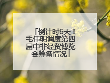 倒计时6天！毛伟明调度第四届中非经贸博览会筹备情况