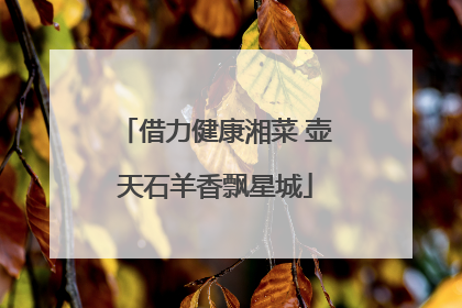 借力健康湘菜 壶天石羊香飘星城