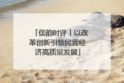 儒韵时评丨以改革创新引领民营经济高质量发展