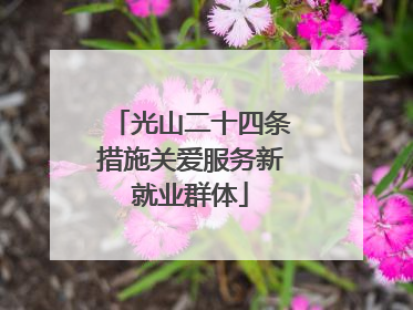光山二十四条措施关爱服务新就业群体