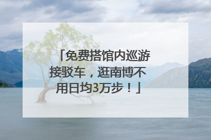 免费搭馆内巡游接驳车，逛南博不用日均3万步！