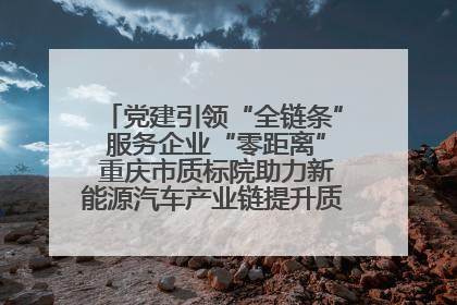 党建引领“全链条” 服务企业“零距离” 重庆市质标院助力新能源汽车产业链提升质量管理水平