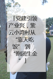 党建引领产业兴，紫云小湾村从 “靠天吃饭” 到 “抱团生金”