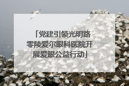 党建引领光明路 零陵爱尔眼科医院开展爱眼公益行动