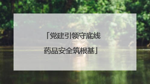 党建引领守底线 药品安全筑根基