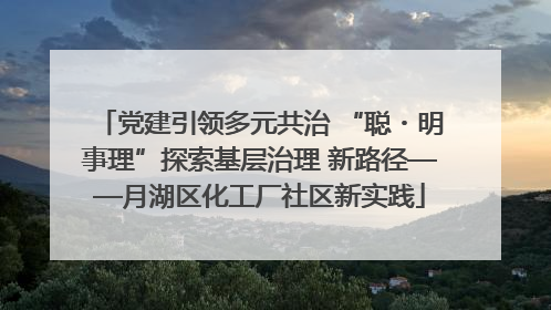 党建引领多元共治 “聪・明事理”探索基层治理 新路径——月湖区化工厂社区新实践