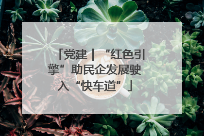 党建｜“红色引擎”助民企发展驶入“快车道”
