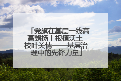 党旗在基层一线高高飘扬丨根植沃土 枝叶关情——基层治理中的先锋力量