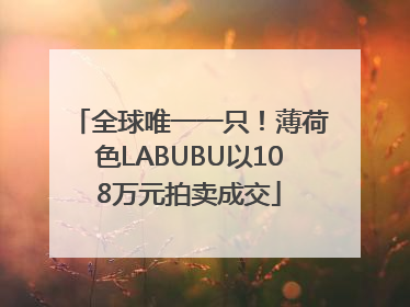 全球唯一一只！薄荷色LABUBU以108万元拍卖成交