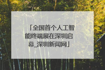 全国首个人工智能终端展在深圳启幕_深圳新闻网