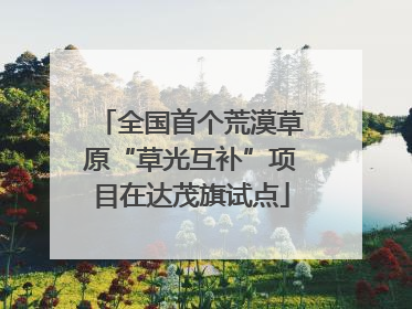 全国首个荒漠草原“草光互补”项目在达茂旗试点