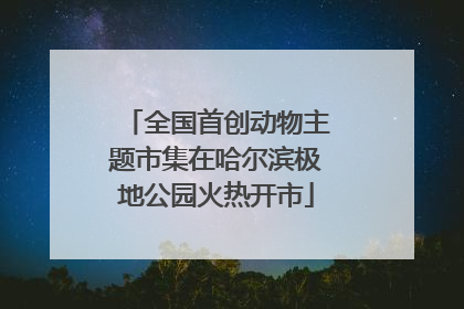 全国首创动物主题市集在哈尔滨极地公园火热开市