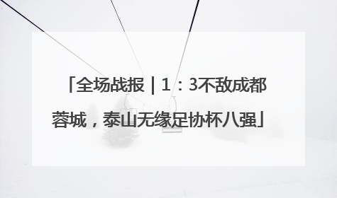 全场战报｜1：3不敌成都蓉城，泰山无缘足协杯八强