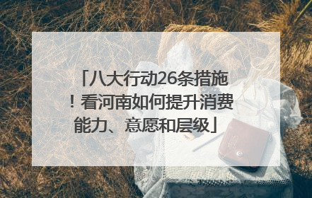 八大行动26条措施！看河南如何提升消费能力、意愿和层级