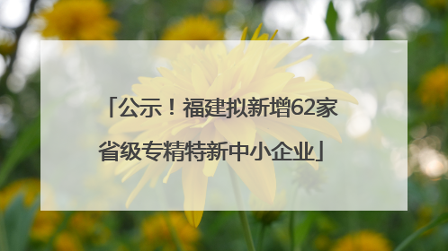 公示！福建拟新增62家省级专精特新中小企业