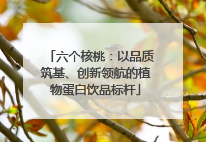 六个核桃：以品质筑基、创新领航的植物蛋白饮品标杆
