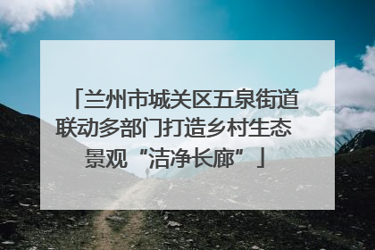 兰州市城关区五泉街道联动多部门打造乡村生态景观“洁净长廊”