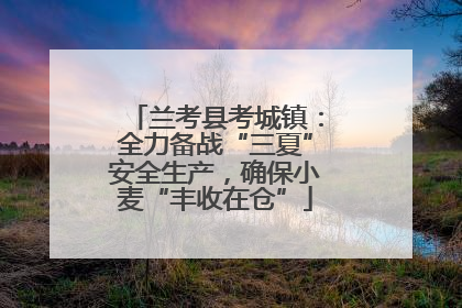 兰考县考城镇：全力备战“三夏”安全生产，确保小麦“丰收在仓”