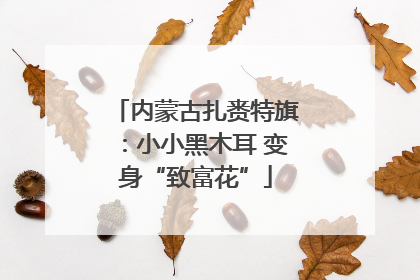 内蒙古扎赉特旗：小小黑木耳 变身“致富花”