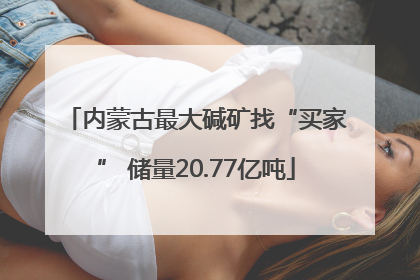 内蒙古最大碱矿找“买家” 储量20.77亿吨