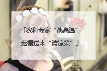 农科专家“战高温” 菇棚送来“清凉策”