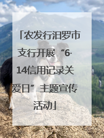 农发行汨罗市支行开展“6·14信用记录关爱日”主题宣传活动
