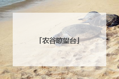 农谷瞭望台