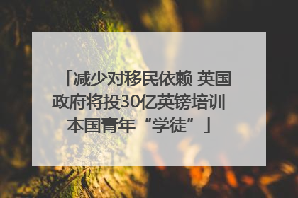 减少对移民依赖 英国政府将投30亿英镑培训本国青年“学徒”