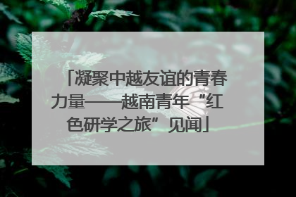 凝聚中越友谊的青春力量——越南青年“红色研学之旅”见闻