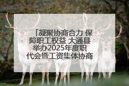 凝聚协商合力 保障职工权益 大通县举办2025年度职代会暨工资集体协商现场观摩交流活动