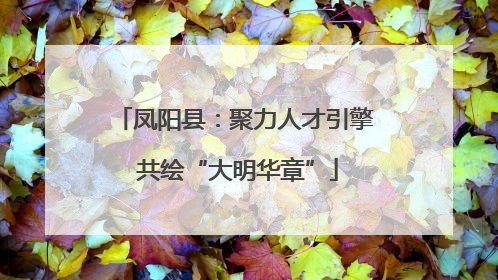 凤阳县：聚力人才引擎 共绘“大明华章”