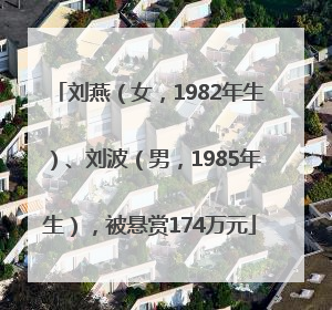 刘燕（女，1982年生）、刘波（男，1985年生），被悬赏174万元