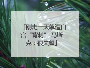 刚走一天就遭白宫“背刺” 马斯克：很失望