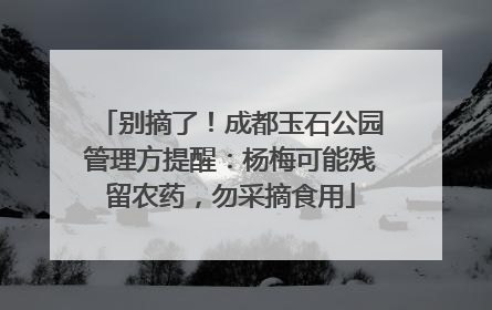 别摘了！成都玉石公园管理方提醒：杨梅可能残留农药，勿采摘食用